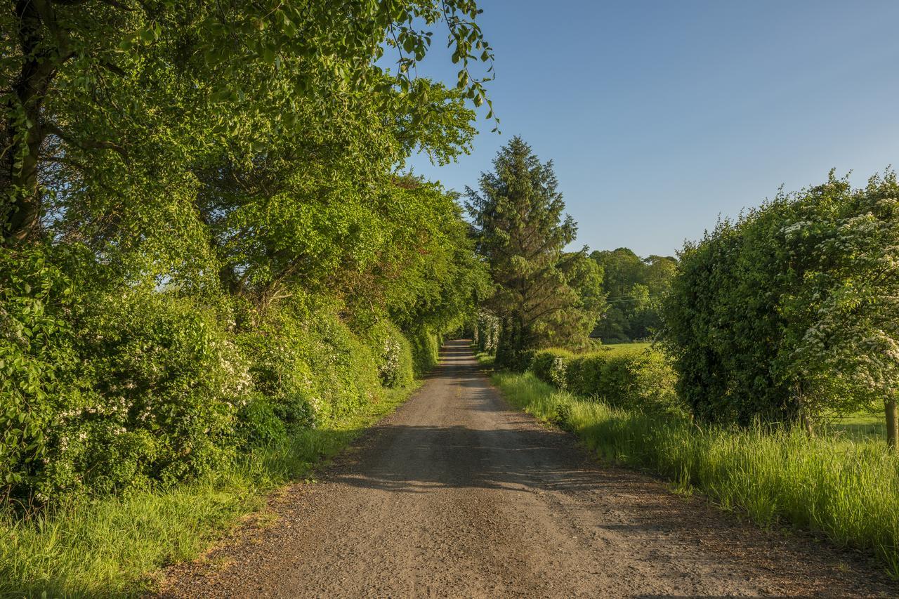 Mill Lodge B&B Banbridge Bagian luar foto